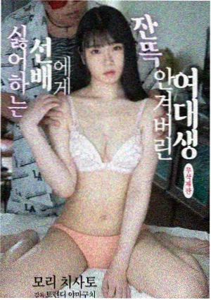 旧城拾荒者 单元剧集封面
